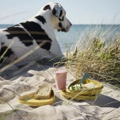 Light My Fire Eat´n Drink Kit BIO For 4 Nature -Outdoor Camping Store 2f9ba20e0235df98918201b6cf544baa 1