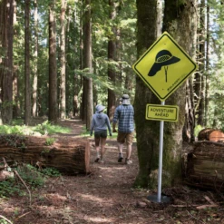 Sunday Afternoon Adventure Hat -Outdoor Camping Store 5 e71e76a6 ea3c 4ba7 ab16 371f69d27e49