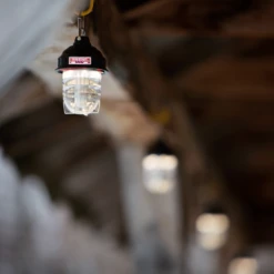 Barebones Beacon Kraft Packaging - Olive -Outdoor Camping Store LIV 297 5